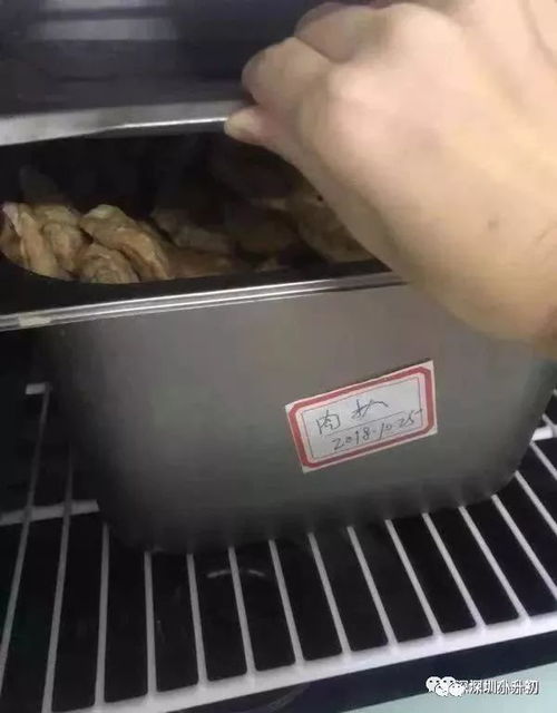 當(dāng)高端教育遭遇安全隱憂 從深圳民辦學(xué)校事件看孩子的健康如何把關(guān)